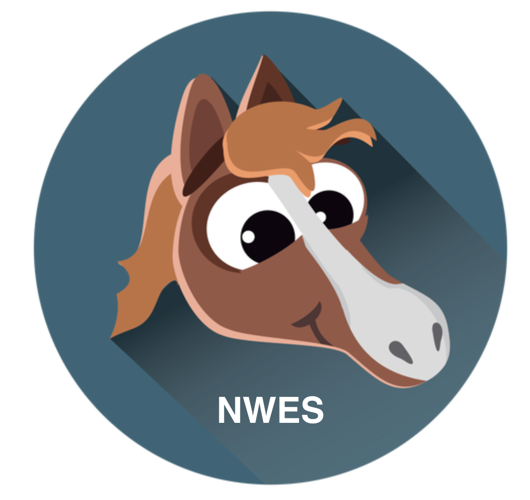 Marvelous Mustangs (November)